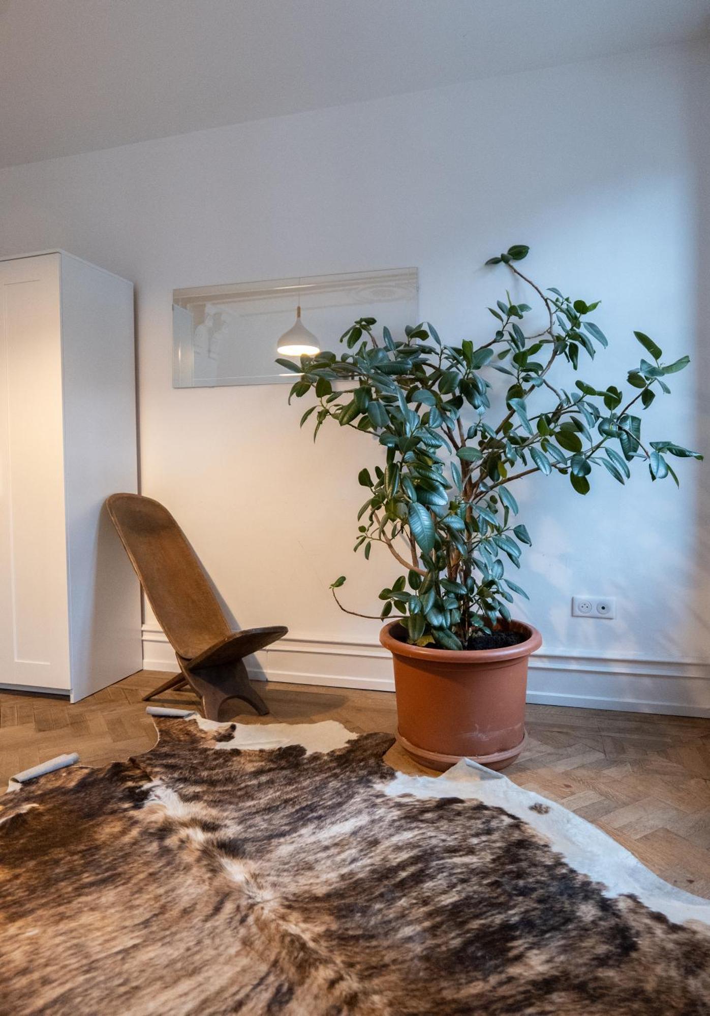 Les Appartements Rue Des Veaux - Quartier Cathedrale Strasburg Zewnętrze zdjęcie