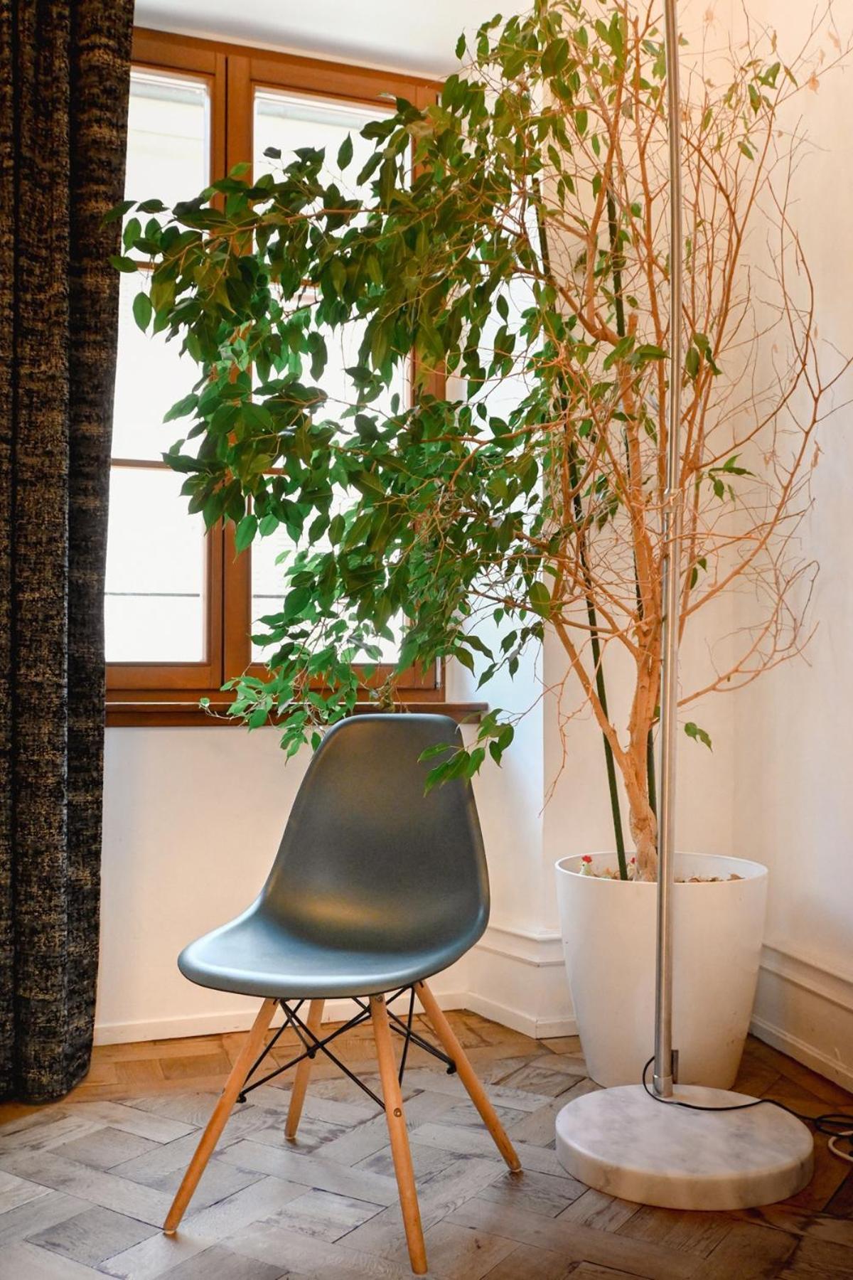 Les Appartements Rue Des Veaux - Quartier Cathedrale Strasburg Zewnętrze zdjęcie
